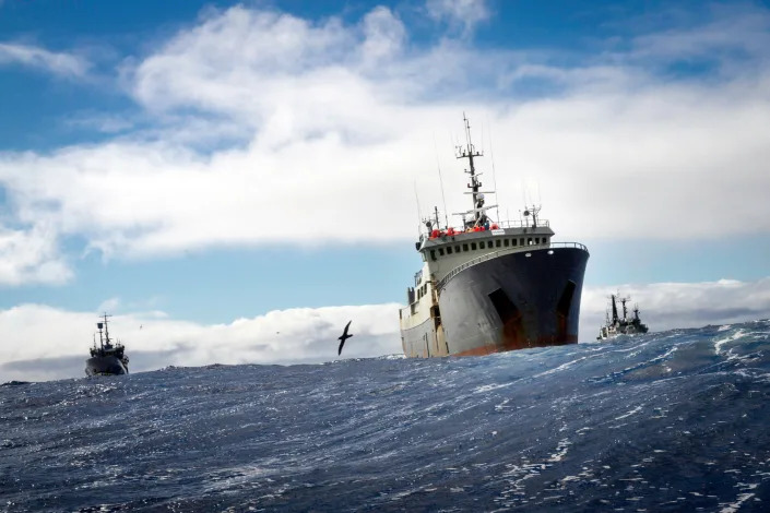 A small silhouette of a bird is seen flying in front of three ships on the ocean against a blue sky with clouds.