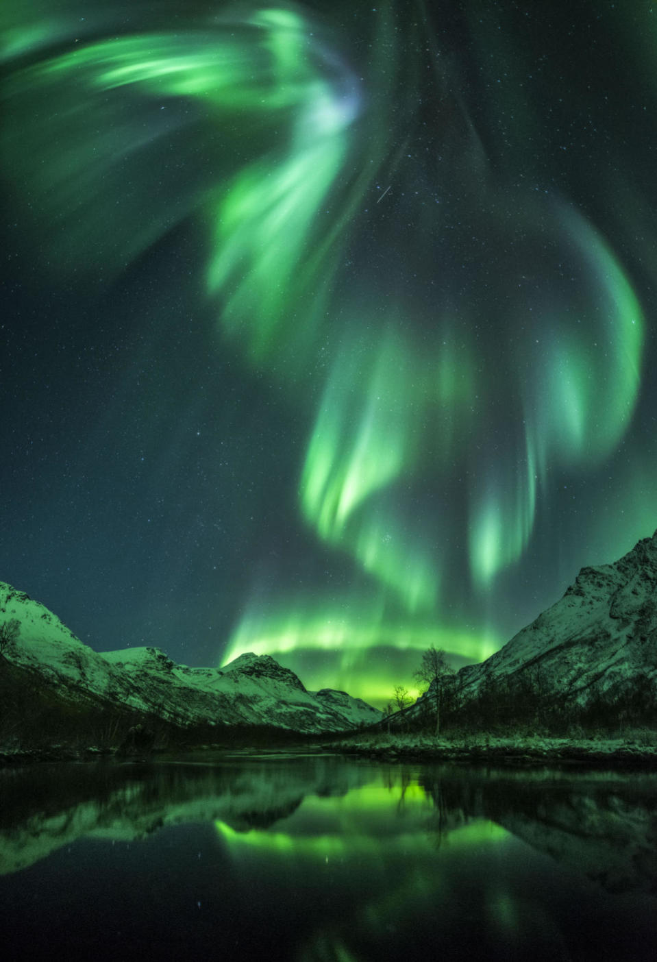 <p>The Northern Lights swish into the shape of a bird over a glassy lake in Olderdalen, Norway. (Jan R Olsen)</p>