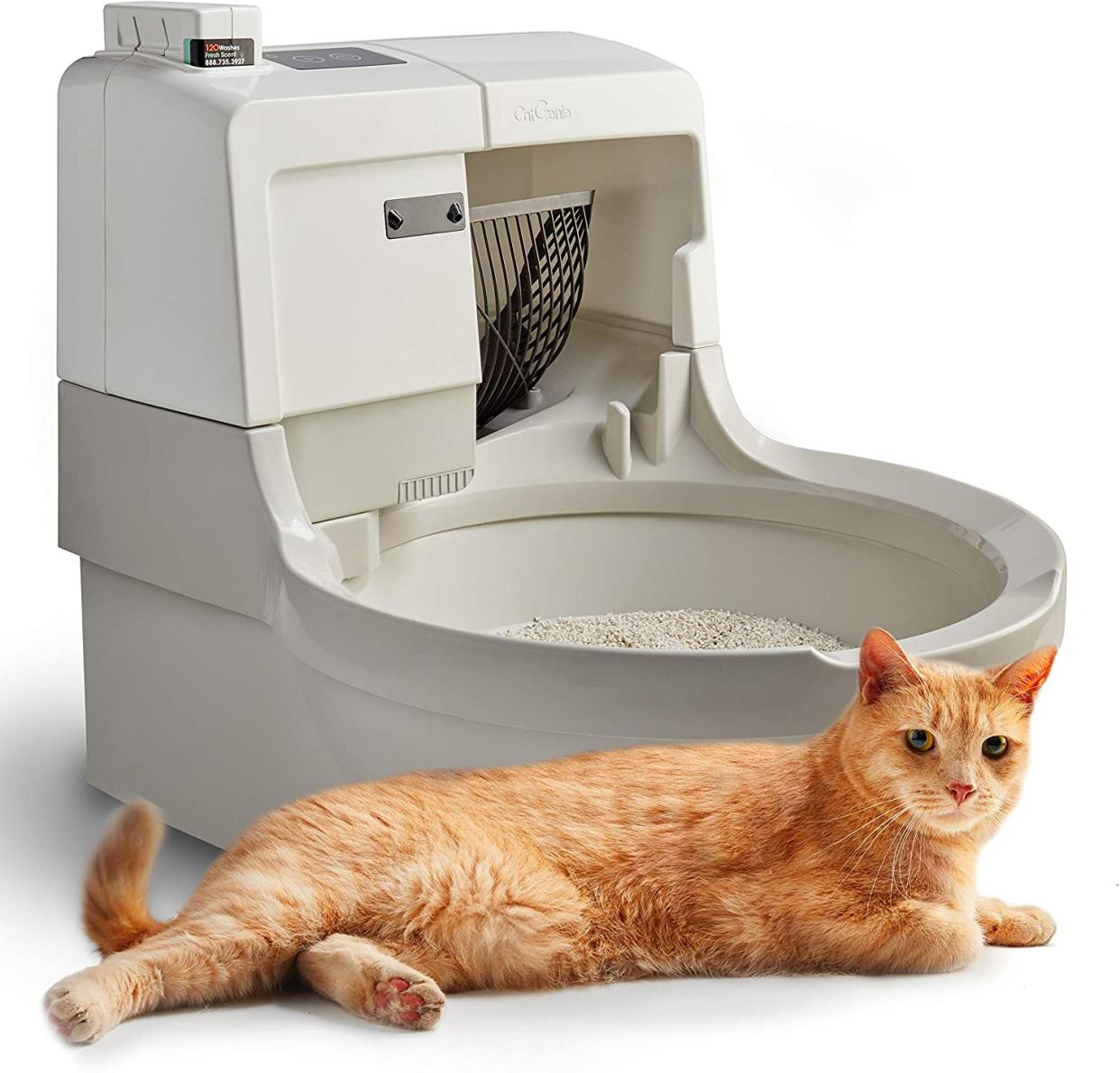 CatGenie self-cleaning litter box, best self-cleaning litter box