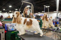 <p><a href="https://people.com/pets/dog-show-sog-training-akc-national-championship/" rel="nofollow noopener" target="_blank" data-ylk="slk:Getting ready for the dog show ring is like preparing for your wedding;elm:context_link;itc:0;sec:content-canvas" class="link ">Getting ready for the dog show ring is like preparing for your wedding</a>; some canine contestants go through hours of primping to look their best for the judges, which means human hair dryers are often required. </p>