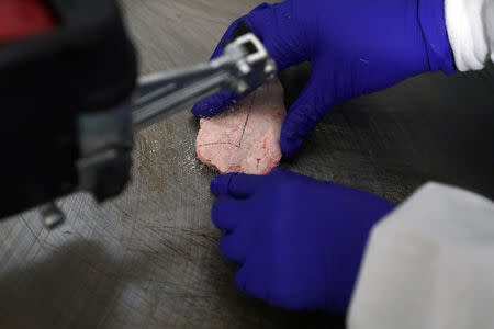 A worker uses a saw to cut a piece from a human brain slice at a brain bank in the Bronx borough of New York City, New York, U.S. June 28, 2017. REUTERS/Carlo Allegri