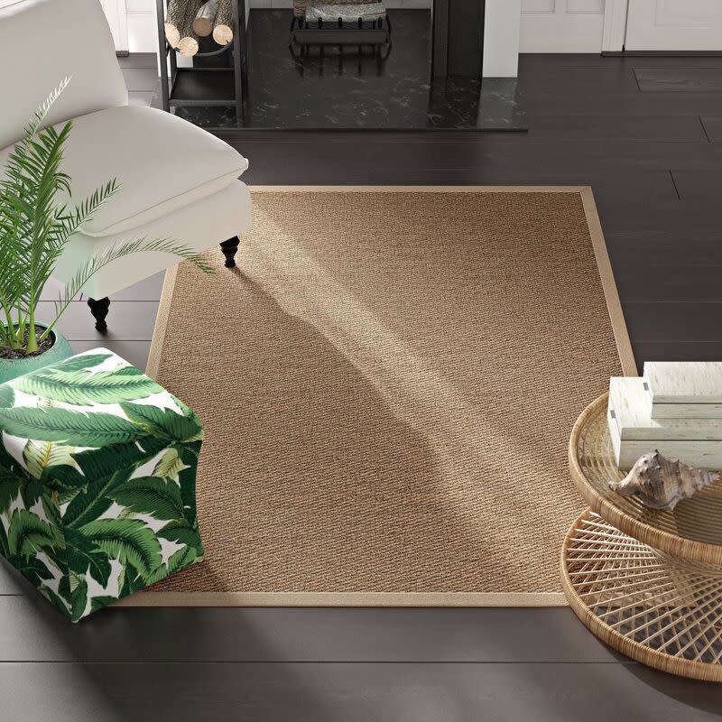 4) Beige Area Rug