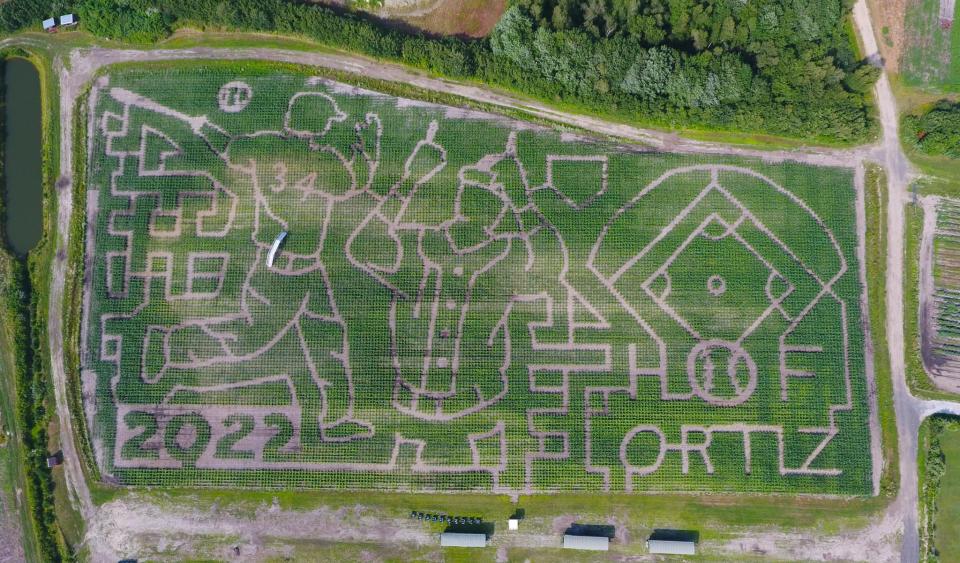 The Sauchuk's Corn Maze in Plympton this year is a nod to former Red Sox player David "Big Papi" Ortiz.