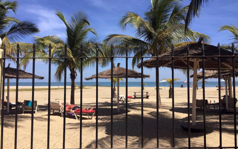 A palm tree-lined beach with sun umbrellas and sun loungers - AP