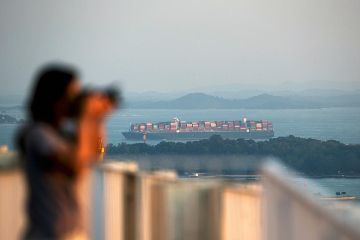 A visitor taking a photograph while a container ship sails past Sentosa Island are seen from the skybridge at the Pinnacle@Duxton. (Getty Images file photo)