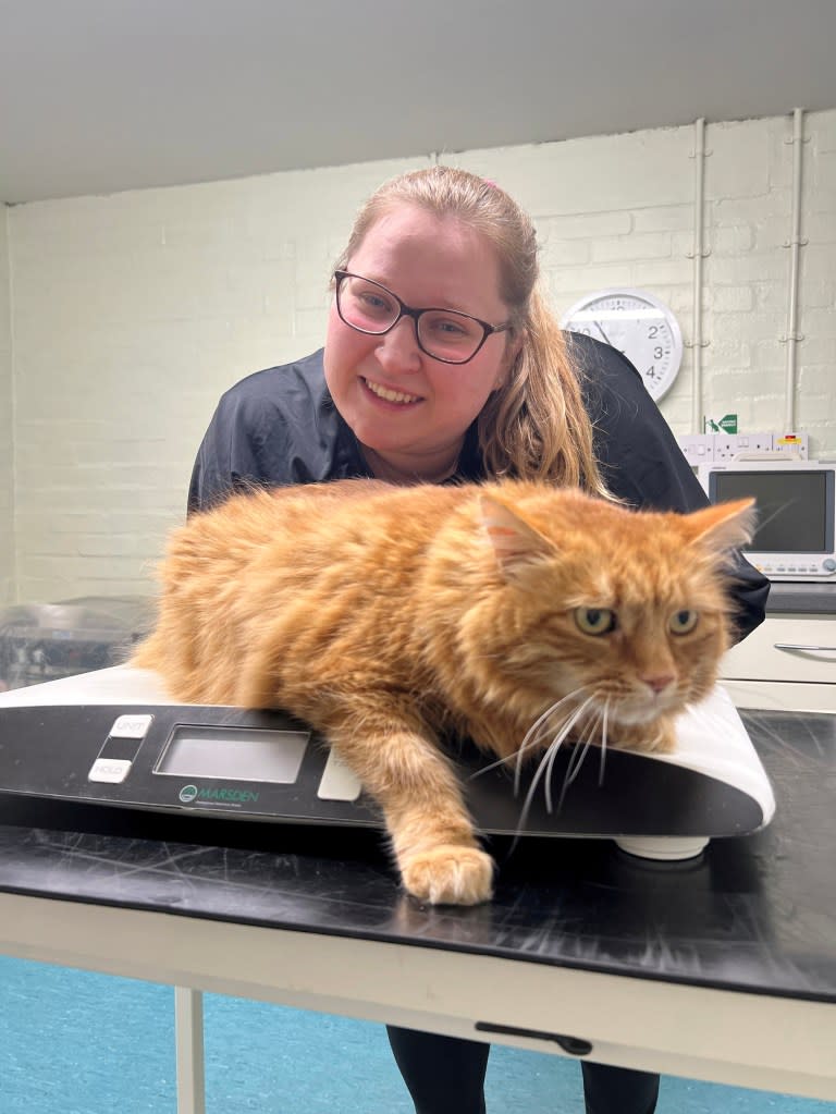 Olivia Stokes, Moses’ therapist, said this was the first time she’d tried hydrotherapy with a cat. Avonvale Veterinary Centres / SWNS