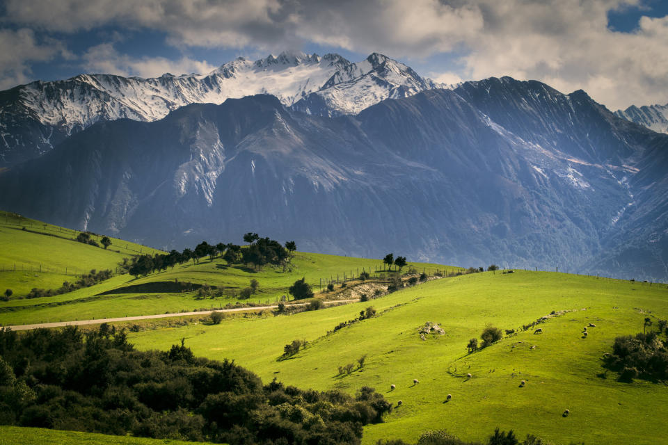 Kiakoura, New Zealand. <i>(Photo: Getty)</i>