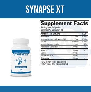 2023] Synapse X Review  Is it ACTUALLY worth $8.50 a month? 