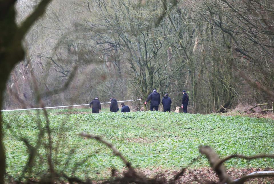 Officers comb a patch of grass in the  park (SWNS)