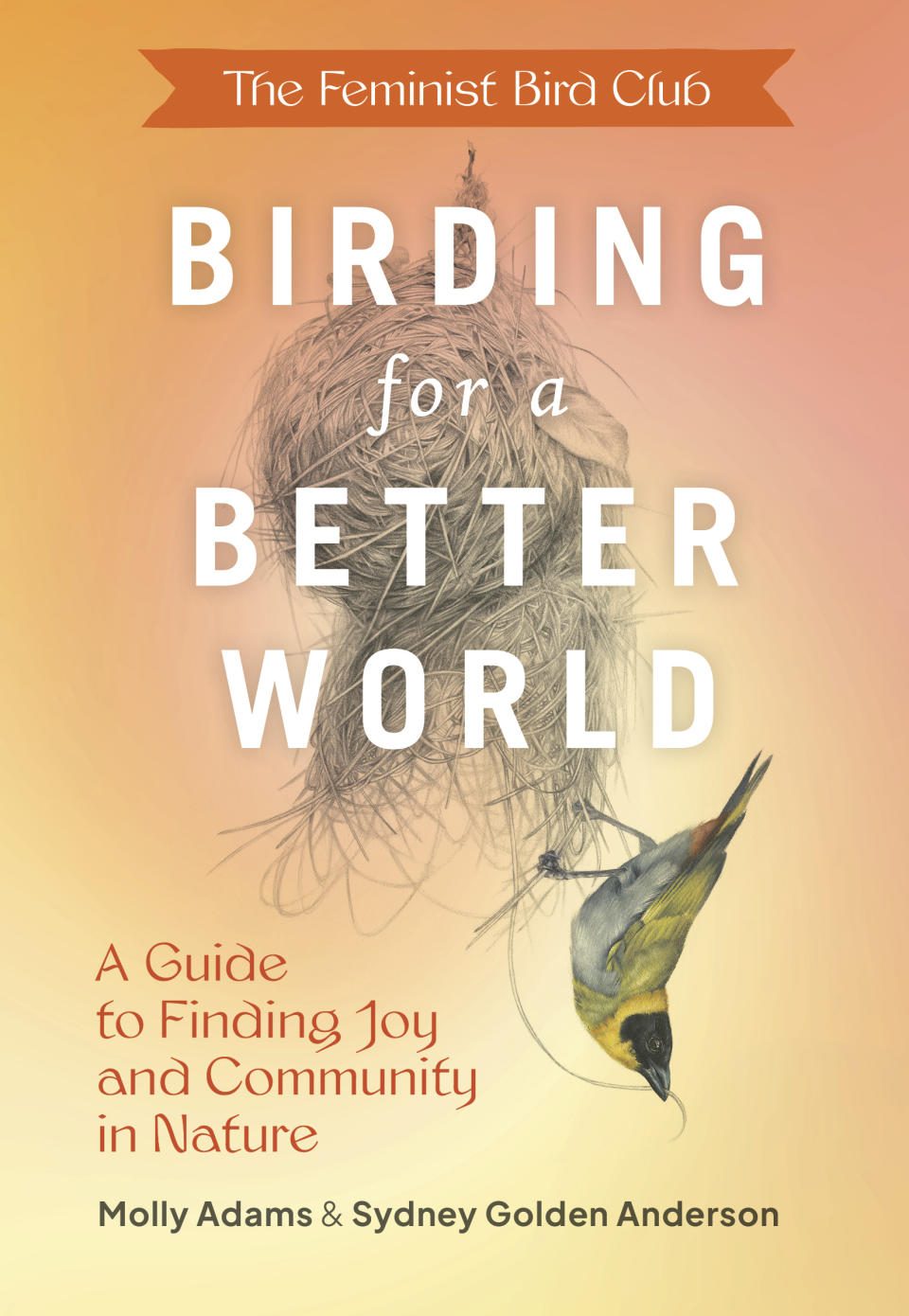 This photo shows the cover of “Birding for a Better World,” by Molly Adams and Sydney Golden Anderson. Nonfiction books are plentiful as holiday gift choices. (Princeton Architectural Press via AP)