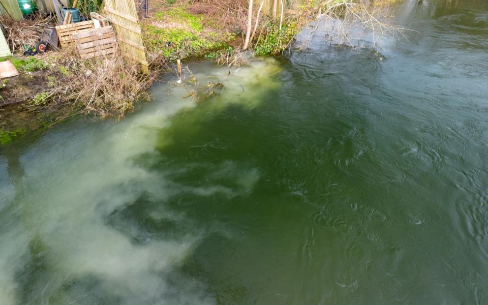 The sewer overflow at Fordingbridge, as photographed by local anti-pollution organisation For The Love of Water (Flow) CIC