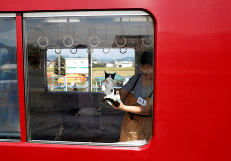 An organising staff member displays a cat from the window of a train cat cafe, held on a local train to bring awareness to the culling of stray cats, in Ogaki, Gifu Prefecture, Japan September 10, 2017. REUTERS/Kim Kyung-Hoon