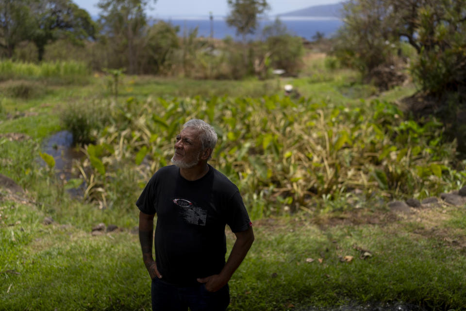 Keʻeaumoku Kapu poses for photos on his taro farm near Lahaina, Hawaii, Wednesday, Aug. 16, 2023. A deadly Maui wildfire is renewing tensions over Maui stream water rights. (AP Photo/Jae C. Hong)