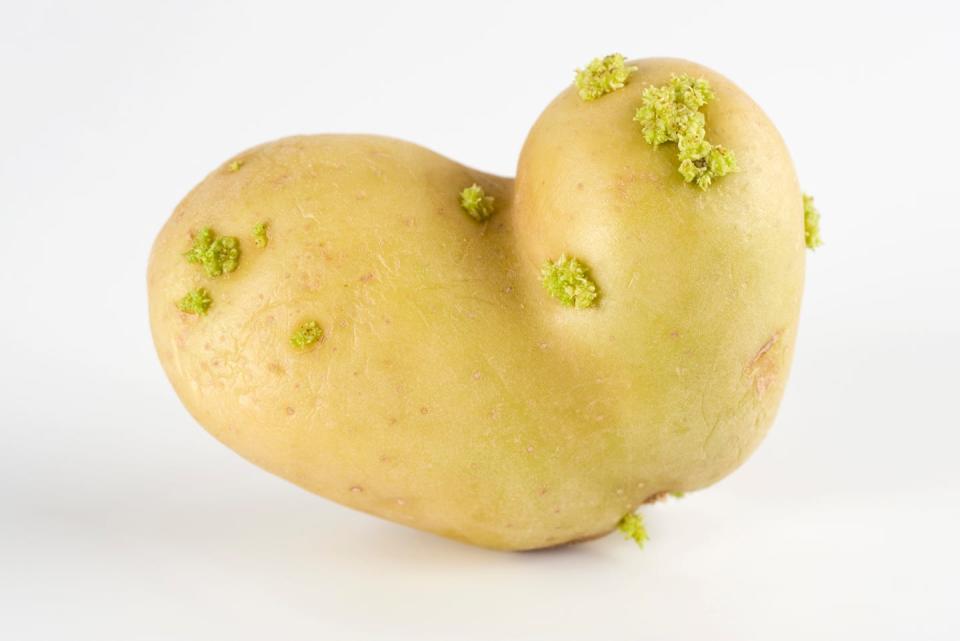 misshapen potato