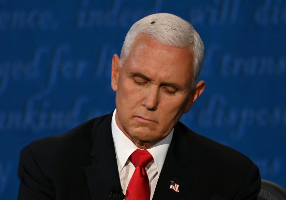 A fly rests on the head of US Vice President Mike Pence