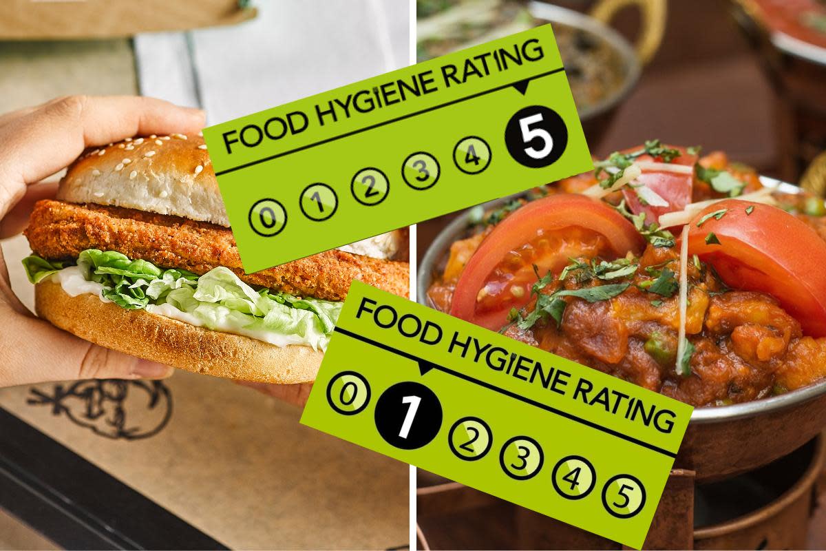 Burger King and chicken shop among latest food hygiene ratings in Reading <i>(Image: PA News Agency/Pixabay)</i>