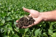 Farmer Doug Zink shows a handful of soil from one of his soybean fields near Carrington, North Dakota