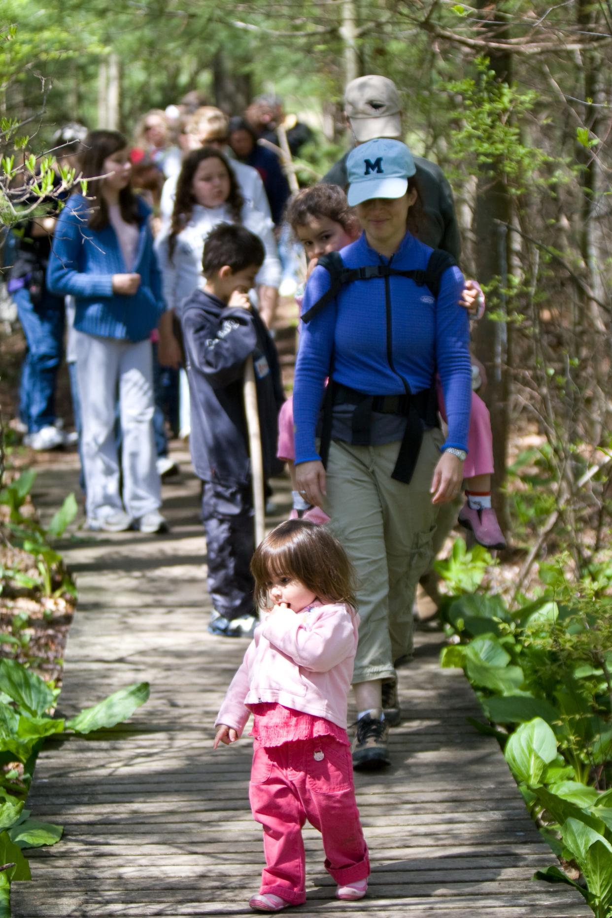 Neve Hayes, 2, of Dedham leads the pack during a Mother’s Day nature walk at the Moose Hill Wildlife Sanctuary in Sharon in 2008. Her mother, Jen Barsamian, and sister, Sahara Hayes, 5, on Barsamian’s back, follow.