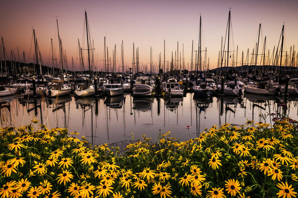 Boats in the sunset in a harbor in Bellingham.