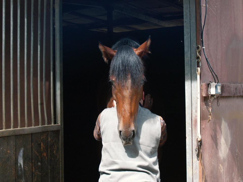 Optical Illusion Of Man With Horse Head