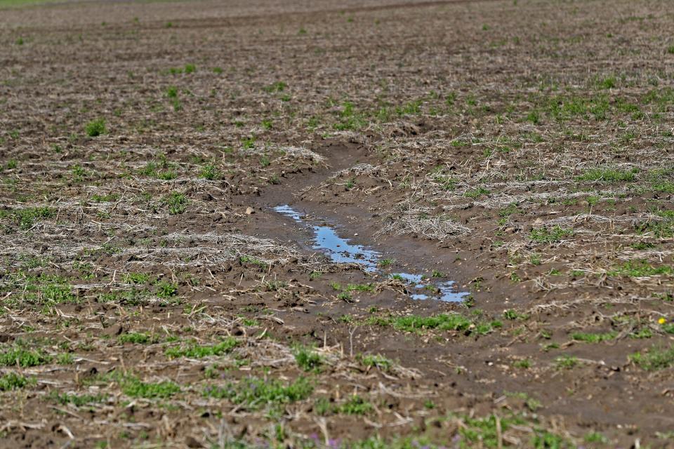 This is an ephemeral gully or temporary gully is seen on a farmer's land, Monday, April 22, 2019.  As rain hits the ground, if it can't be absorbed into the soil, it finds a low spot and becomes a small river going through the field.  If the soil isn't stable, with cover crops or residue, the water will take the soil out of the field.  The soil may deposit at the bottom of the field, or continue out to a creek, river, the Gulf of Mexico, and so on.  It takes with it the sediment which makes the water muddy, and it takes nutrients and pesticides, which may create water quality issues along the way.
