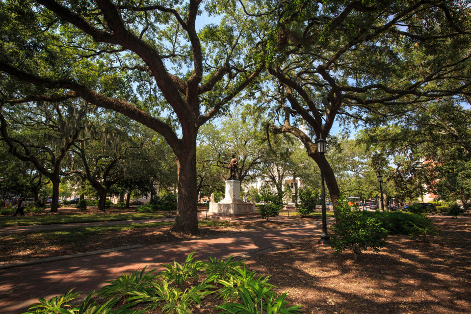 Architectural Savannah