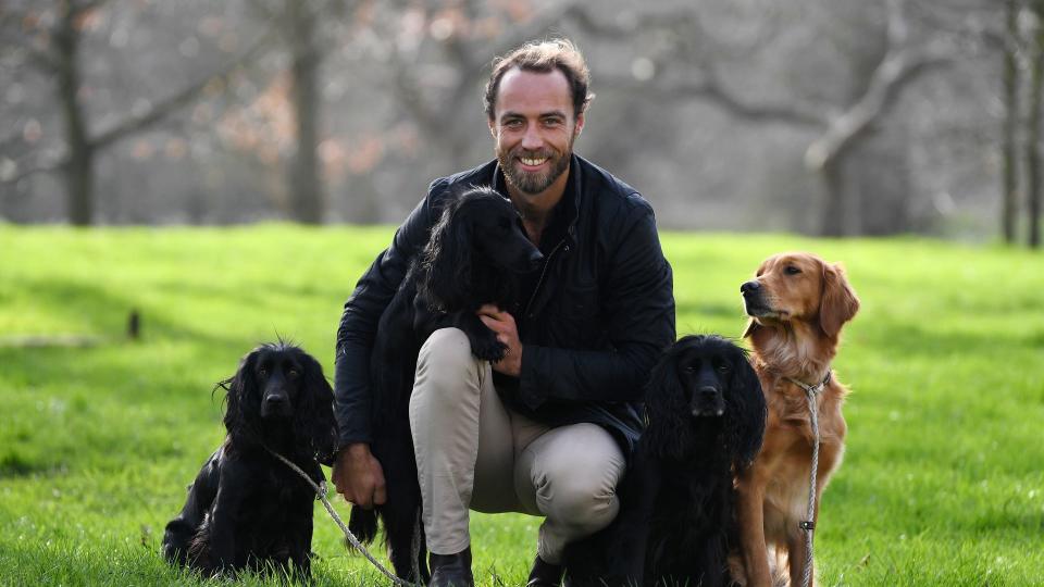 James Middleton with four dogs