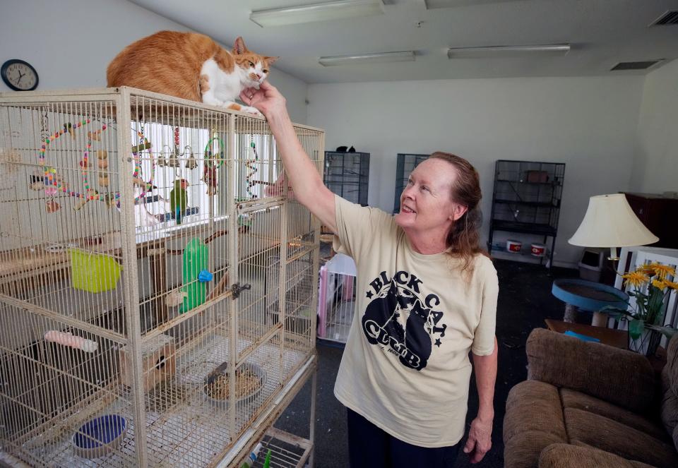 Shoshannah Tempest, owner of the now closed Compassion in Healthcare pet-friendly assisted living center, visits with some of her animals in Daytona Beach. She and her menagerie of nearly 100 animals are facing eviction following the bankruptcy of the assisted-living center in the wake of the pandemic.