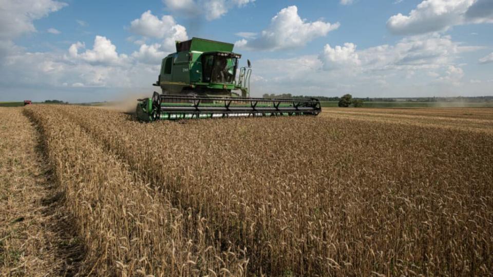 In normal times, Ukraine is one of the world’s largest grain exporters, but the Russian invasion and naval blockade has trapped millions of metric tons of grains here, raising fears of a global food crisis. (Photo by Alexey Furman/Getty Images)