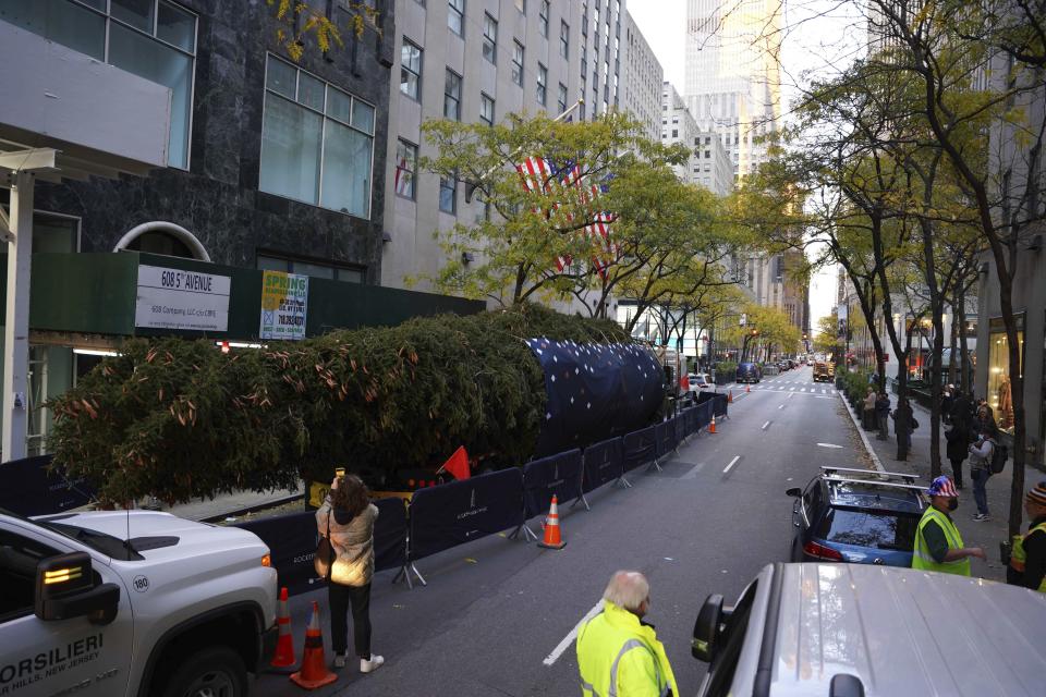 The 79-foot tall Rockefeller Center Christmas Tree arrives from Elkton,Md., stands next to Rockefeller Plaza on a flatbed truck, Saturday, Nov. 13, 2021, in New York. New York City ushered in the holiday season with the arrival of the Norway spruce that will serve as one of the world's most famous Christmas trees.(AP Photo/Dieu-Nalio Chery)