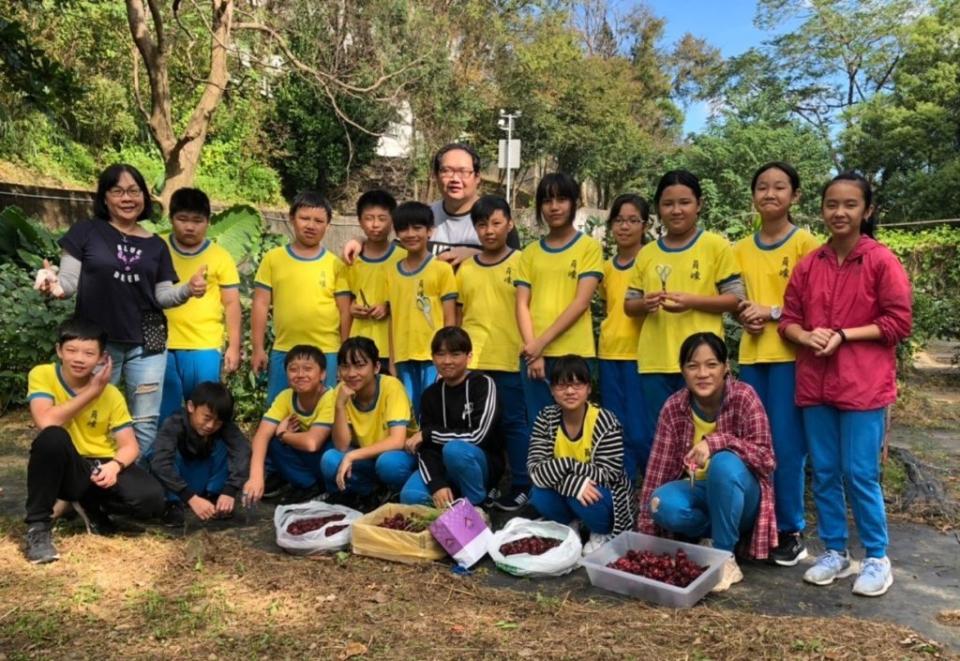 員崠國小學生的「紅寶石的秘密」創意主題教學，為完成畢業旅行的美夢，以種植洛神花製成產品籌措經費。(員崠國小提供)