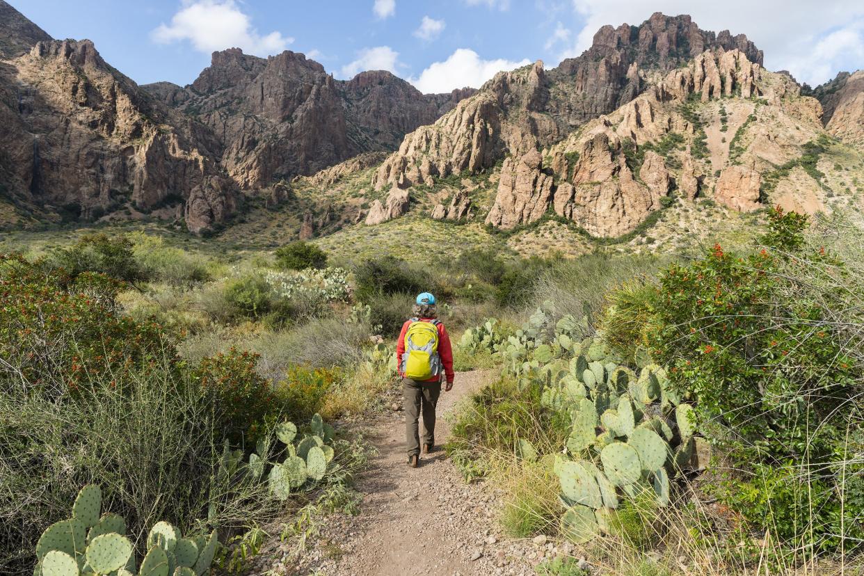 woman hiking in Big Bend National Park, Texas