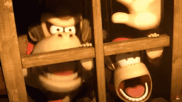 Donkey Kong and Diddy Kong looking out a window as their jaws drop in awe.