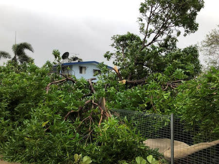 A view of fallen trees is seen in the aftermath of Cyclone Nora it struck Pormpuraaw, Queensland, Australia, in this picture obtained from social media March 25, 2018. Liam Hartley/via REUTERS