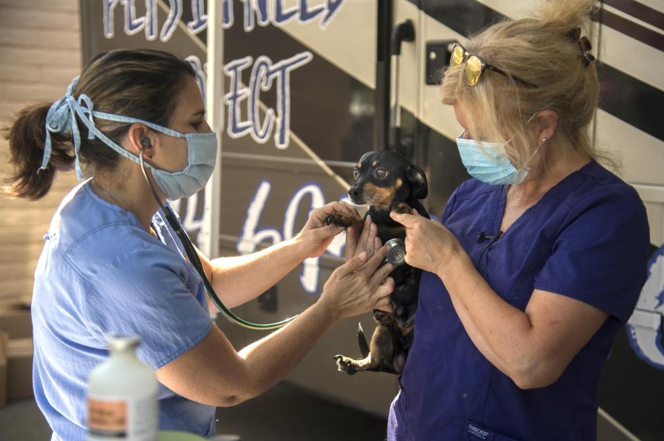 Veterinarian Dr. Gabe Rosa, left, examines a dog held by ElleVet Sciences co-founder Amanda Howland at the Pets In Need event.