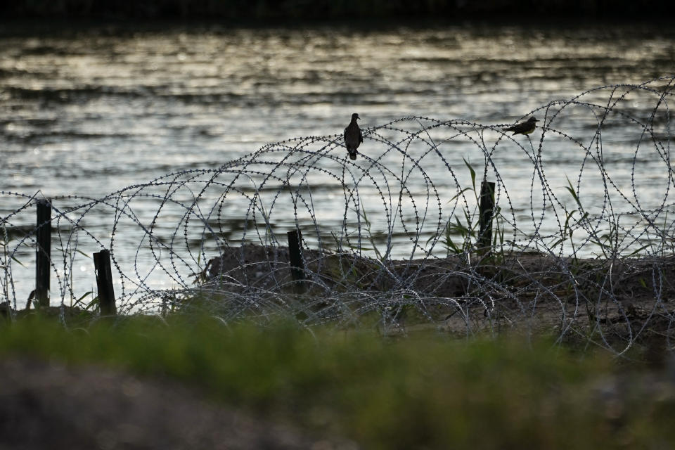 Birds rest on concertina wire along the Rio Grande in Eagle Pass , Texas, Thursday, July 6, 2023, that has been recently bulldozed. Texas Republican Gov. Greg Abbott has escalated measures to keep migrants from entering the U.S. He's pushing legal boundaries along the border with Mexico to install razor wire, deploy massive buoys on the Rio Grande and bulldozing border islands in the river. (AP Photo/Eric Gay)