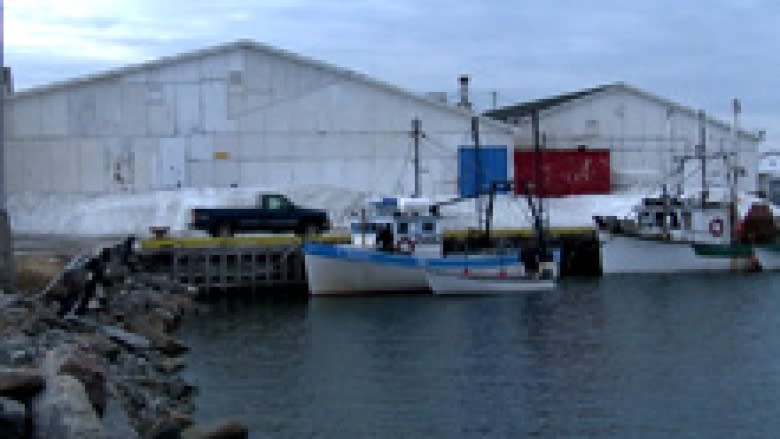 Black Tickle 'won't go down without a fight,' says community leader