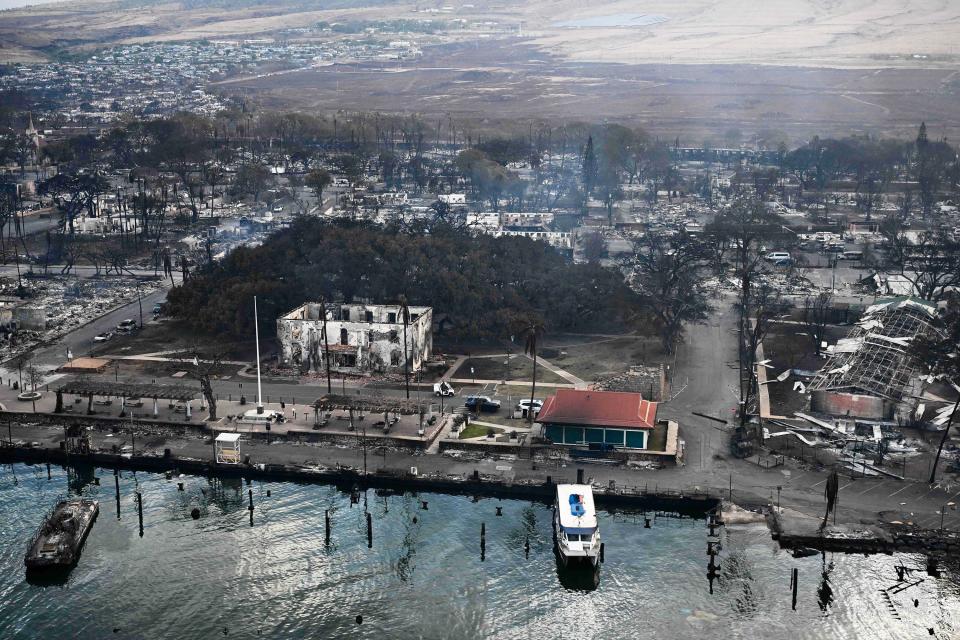 An aerial view shows the historic Banyan Tree along with destroyed homes, boats, and buildings burned to the ground in the historic Lahaina town in the aftermath of wildfires in western Maui in Lahaina, Hawaii, on August 10, 2023. At least 36 people have died after a fast-moving wildfire turned Lahaina to ashes, officials said August 9, as visitors asked to leave the island of Maui found themselves stranded at the airport. The fires began burning early August 8, scorching thousands of acres and putting homes, businesses and 35,000 lives at risk on Maui, the Hawaii Emergency Management Agency said in a statement.