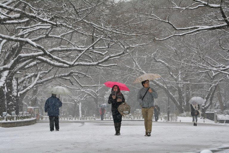 People walk in the snow at a park in Tokyo on February 8, 2014