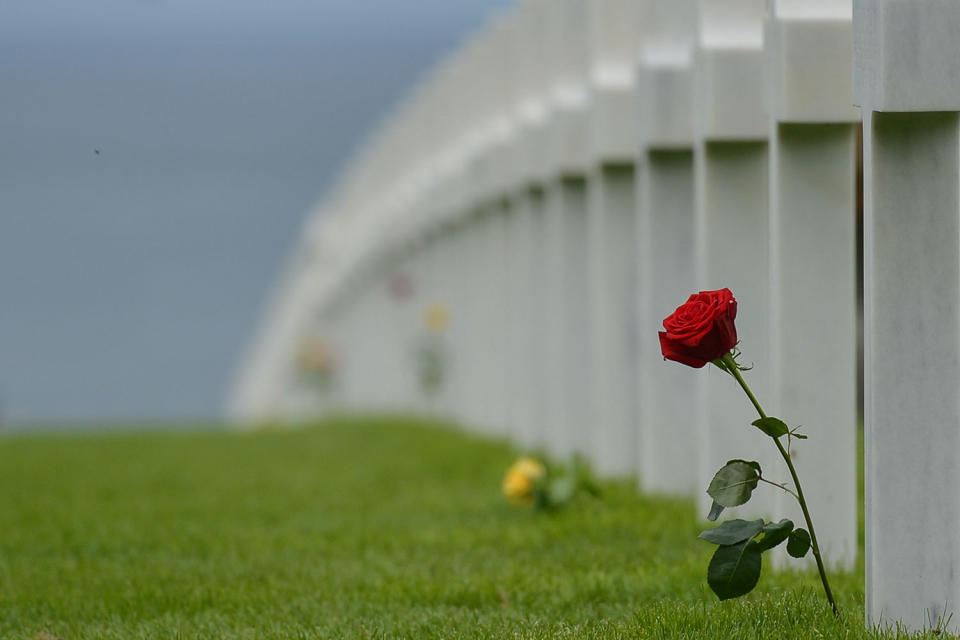 A red rose left by visitors at the Normandy Cemetery