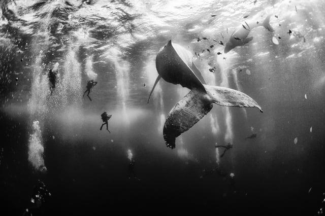 National Geographic Traveller Photo Contest 2015 winner