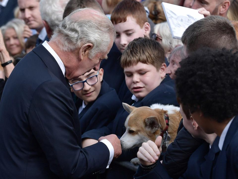 King Charles III lets a corgi sniff his hand in a crowd.