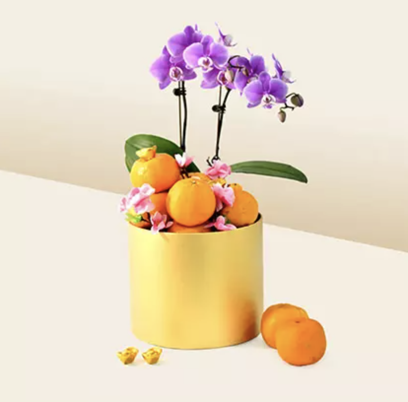 Purple orchids with oranges. (PHOTO: Ferns N Petals)