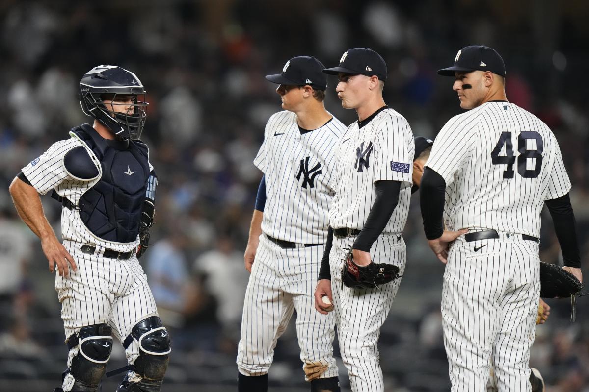 New York Yankees 2023 Organization All-Stars