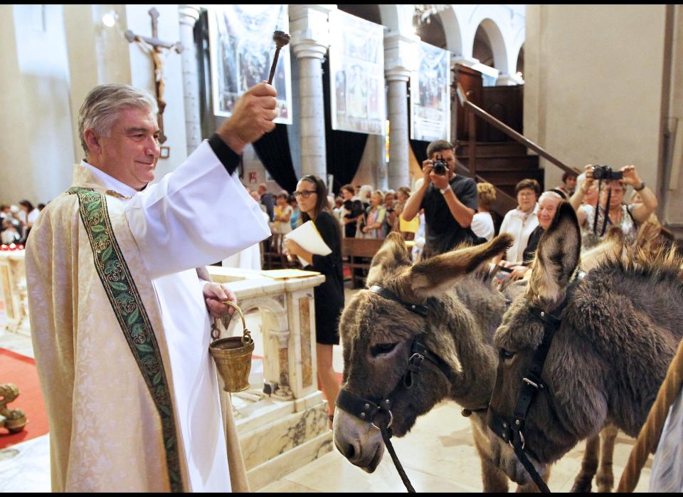 Gil Florini, of Saint-Pierre-d'Arene's church, blesses donkeys with holy water after a mass dedicated to animals on Oct. 9, 2011, in the southeastern French city of Nice.