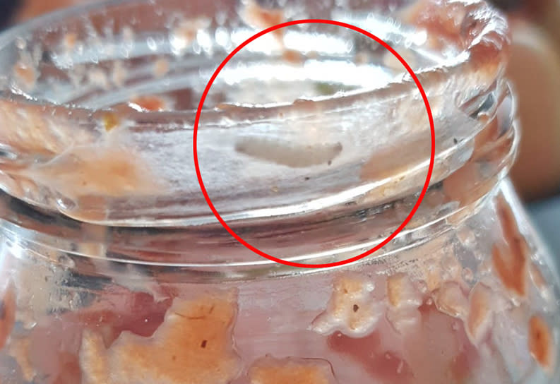 The maggot found in a jar of pasta, which the woman didn't find until she was half-way through cooking. Source: Facebook