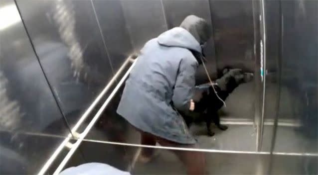 Paul Barratt was caught on camera beating his dog, Storm, in an elevator. Photo: Manchester Evening News