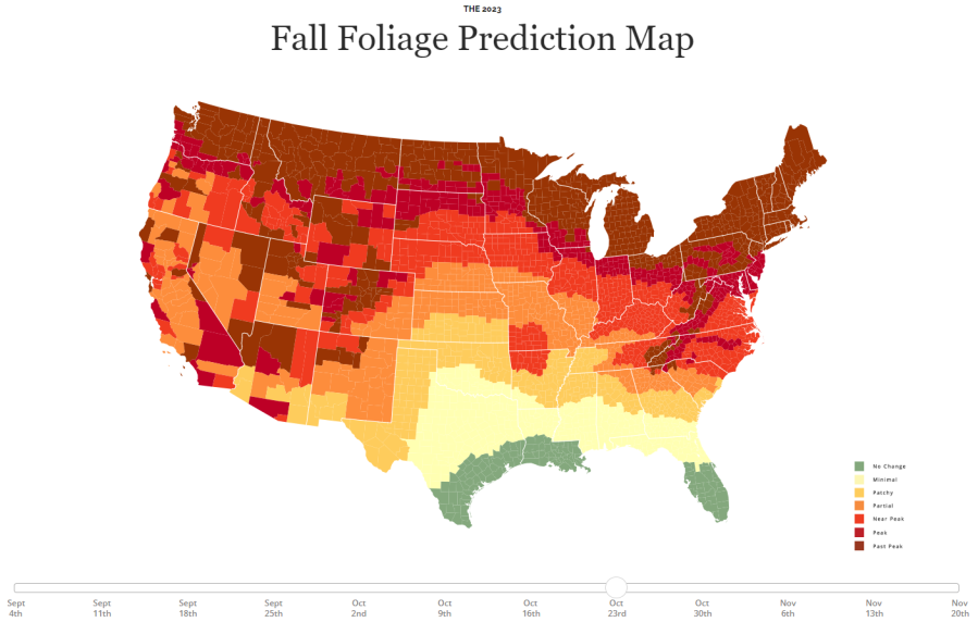 Fall foliage predictions for the week of Oct. 23, 2023. (Smokymountains.com)