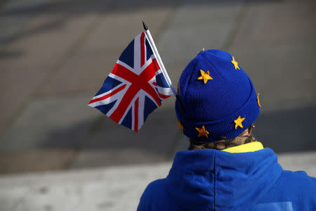 FILE PHOTO: An anti-Brexit demonstrator protests outside the Houses of Parliament, in Westminster, London, Britain, February 13, 2019. REUTERS/Hannah McKay/File Photo