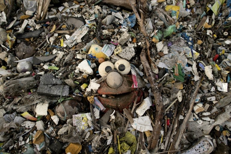 At current rates of dumping, there could be more plastic trash than fish in the world's oceans by 2050 if nothing is done